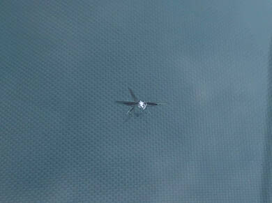 スターブレイク